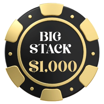 Poker Chip labeled Big Stack $1,000