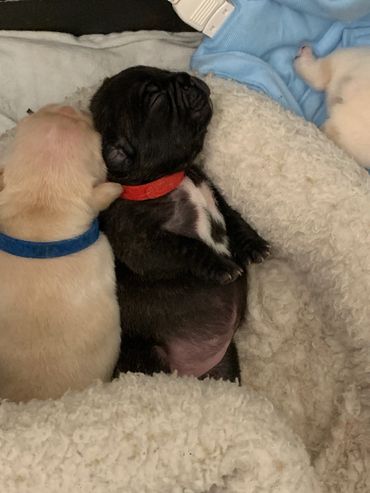 My little Lilly newborn, now its a little senorita!