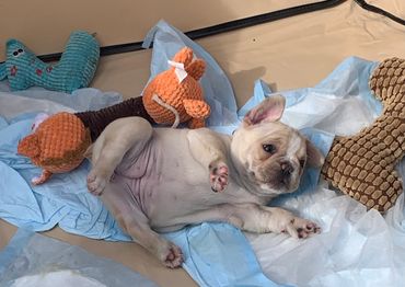 Summer having trouble standing up, lol