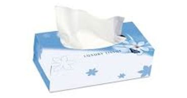 FACIAL TISSUES
01613301495