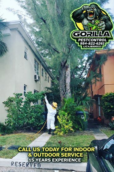 Pest control worker sprays insecticide outdoors near residential buildings.