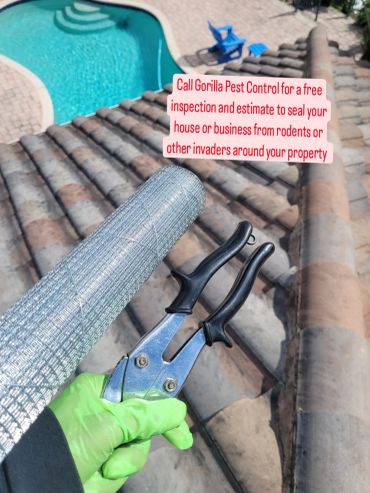 Person holding wire mesh and pliers near a pool, promoting pest control services.