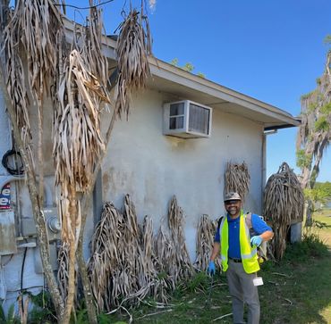 Man in safety gear trims tall dry plants near a building.
