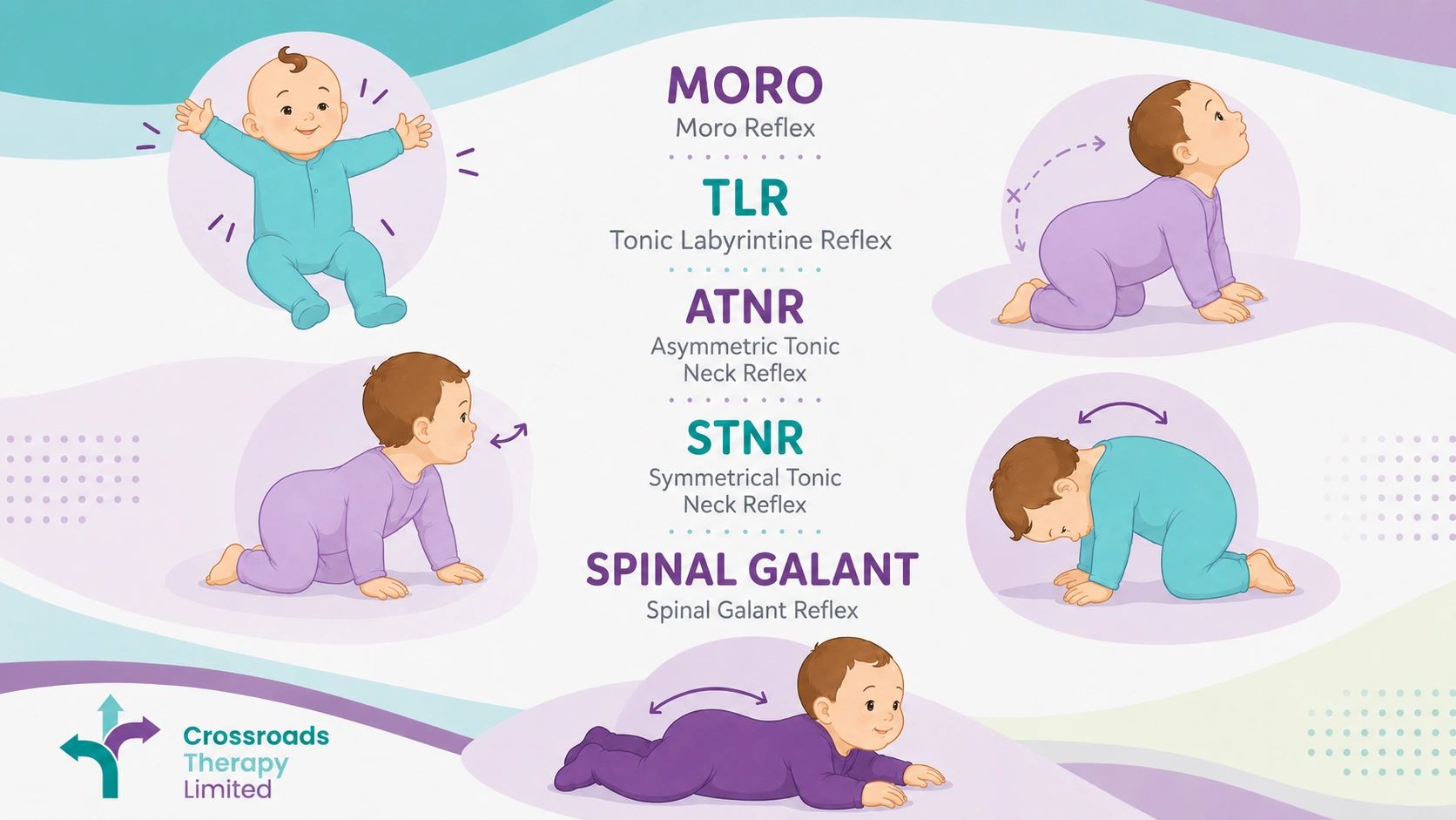 Illustrations of baby reflexes with labels and descriptions in a therapy infographic.