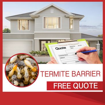 Termite Barrier Free Quote db Pest Management