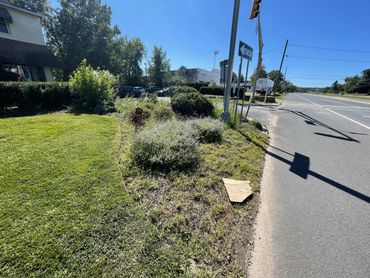 Before shot of a mulch bed