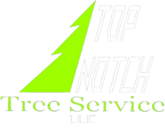 Top Notch Tree LLC
