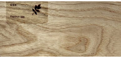 Ash lumber