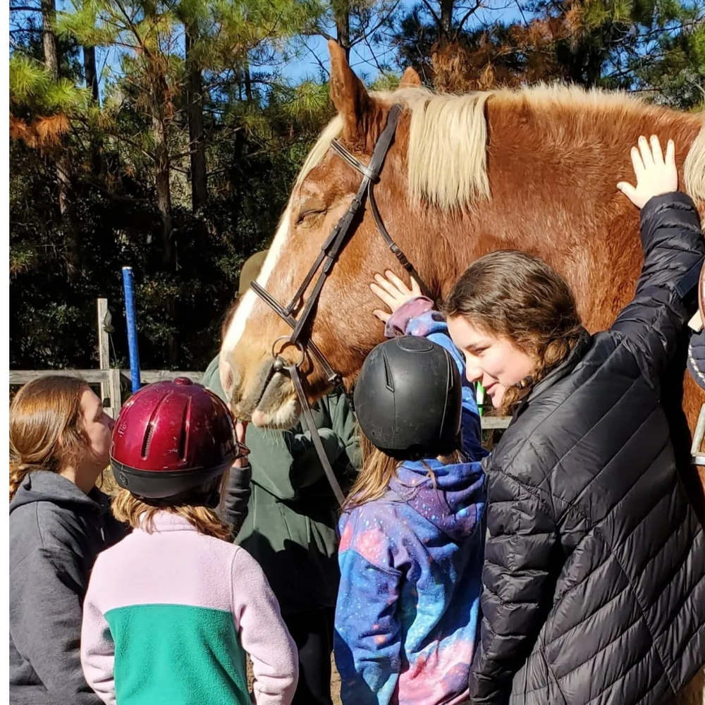 Therapeutic Riding in Charleston, South Carolina