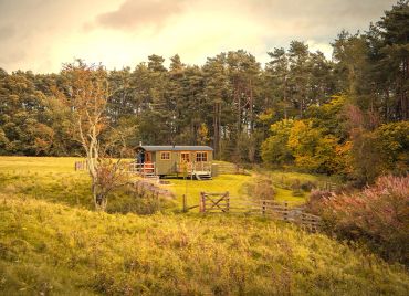 Chishillway Shepherds Hut in The Spring