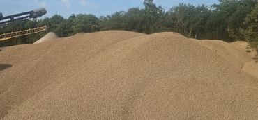 Burton Excavating Inc 49783 sand stone gravel site prep sewer repair land clearing waste removal