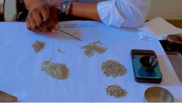 Person sorting grains or seeds on a white sheet with a phone nearby.