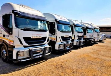 A lineup of white Iveco trucks parked on a sunny day.