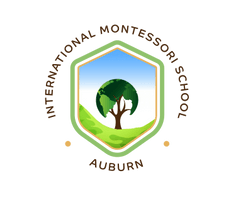 International Montessori School