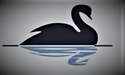 The Swan Moulton