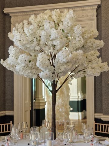 Blossom tree hire - Bracknell Berkshire Hampshire Surrey Buckinghamshire.