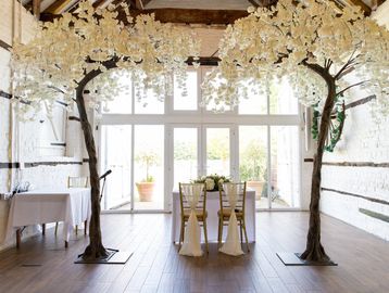 Beautiful Blossom Trees available to hire for weddings and events-Berkshire-Hampshire-Surrey.