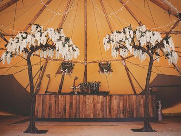 Wisteria tree hire - Bracknell Berkshire Hampshire Surrey Buckinghamshire.