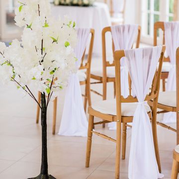 Blossom tree hire - Bracknell Berkshire Hampshire Surrey Buckinghamshire Oxfordshire.