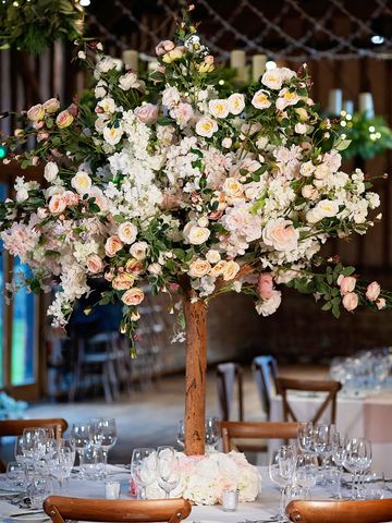 Blossom tree hire - Bracknell Berkshire Hampshire Surrey Buckinghamshire.