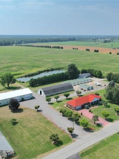 Aerial view of a farm with buildings, pond, and green fields.
