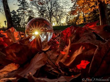 Lensball Photography
Leaflitter with sunburst