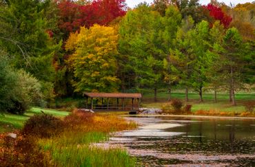Country pond during fall/autumn, PA