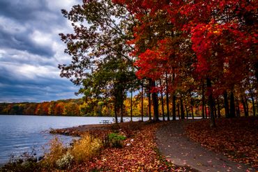 Lakeside colors at Prince Gallitzin State Park, PA