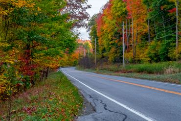 Country Roads, PA fall/autumn