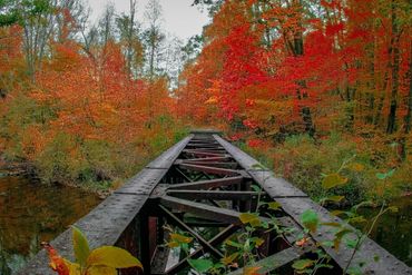 Forgotten Railroad, PA fall/autumn
