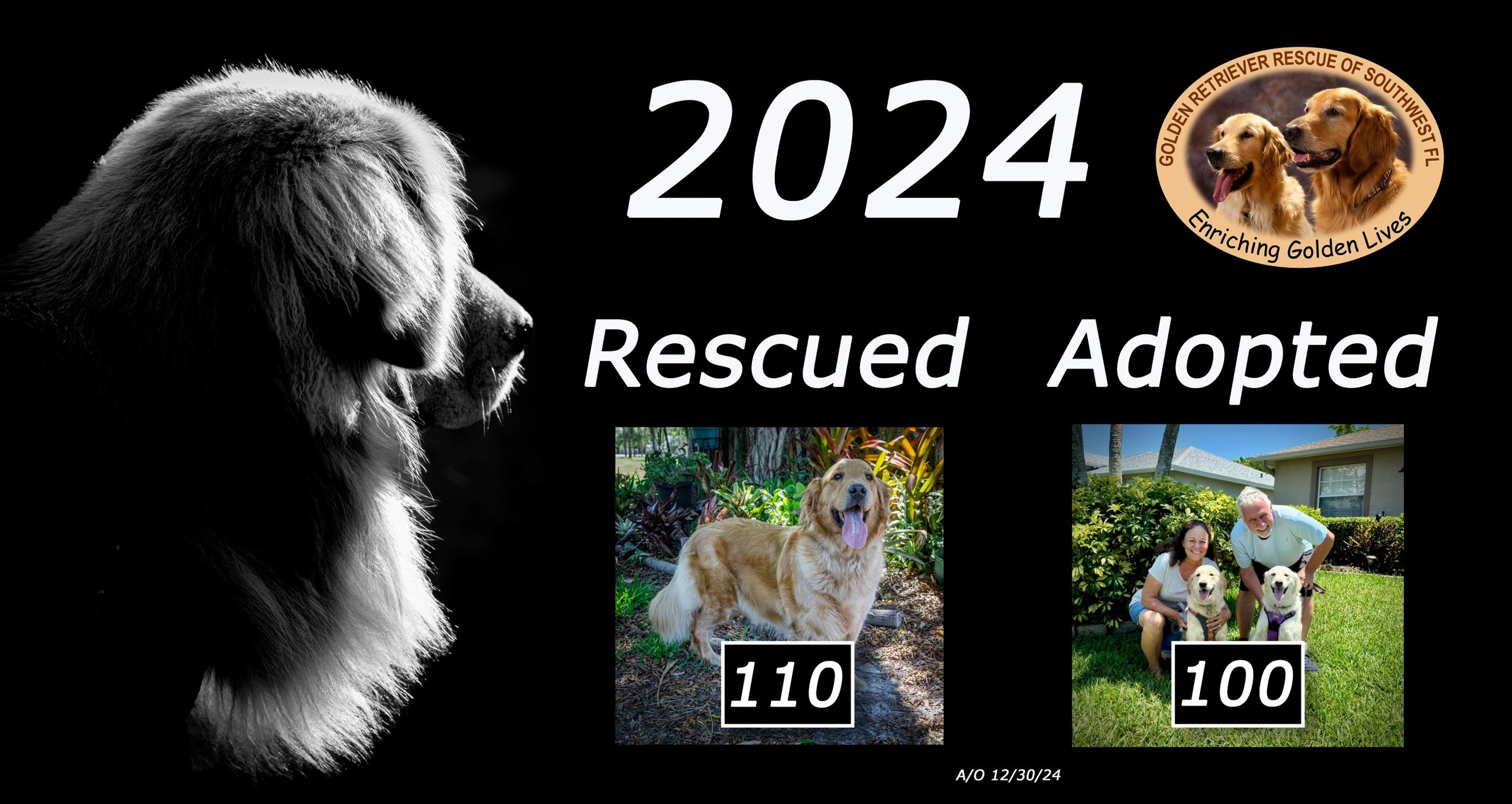 2024 - rescued 110 and Adopted 100