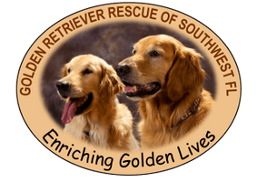 Golden Retriever Rescue of Southwest Florida