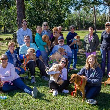 A caring team of dogs