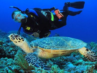 Scuba diving
