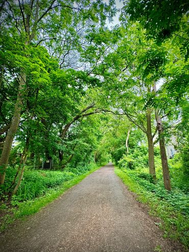 The rail trail behind our office, with lots of green trees and an accessible path for walk in nature