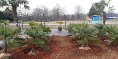 Grow Monroe Plants and Produce  · Farmers Market - Cold Hardy Palm Trees