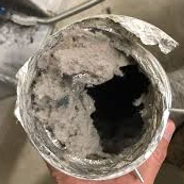 Dirty Dryer Vent / Dryer Vent Cleaning / Dryer Vent / Lint / Dryer 