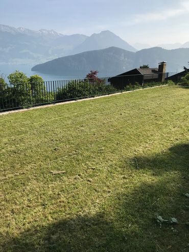 Grass, lawn and garden maintenance