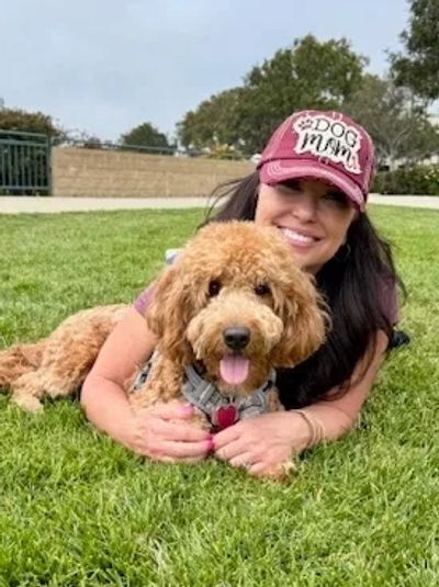 petite goldendoodle, petite goldendoodle, minidoodles, mini doodle, mini golden doodle California