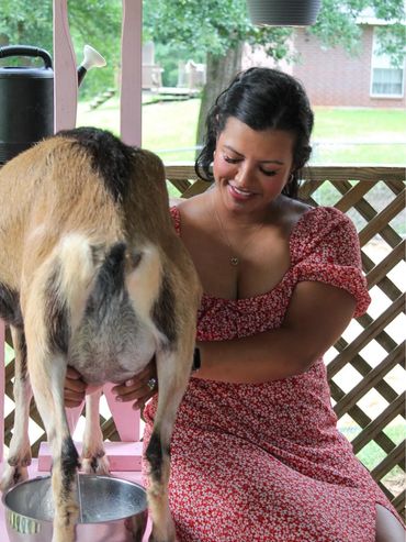A woman joyfully milking a goat on a porch.