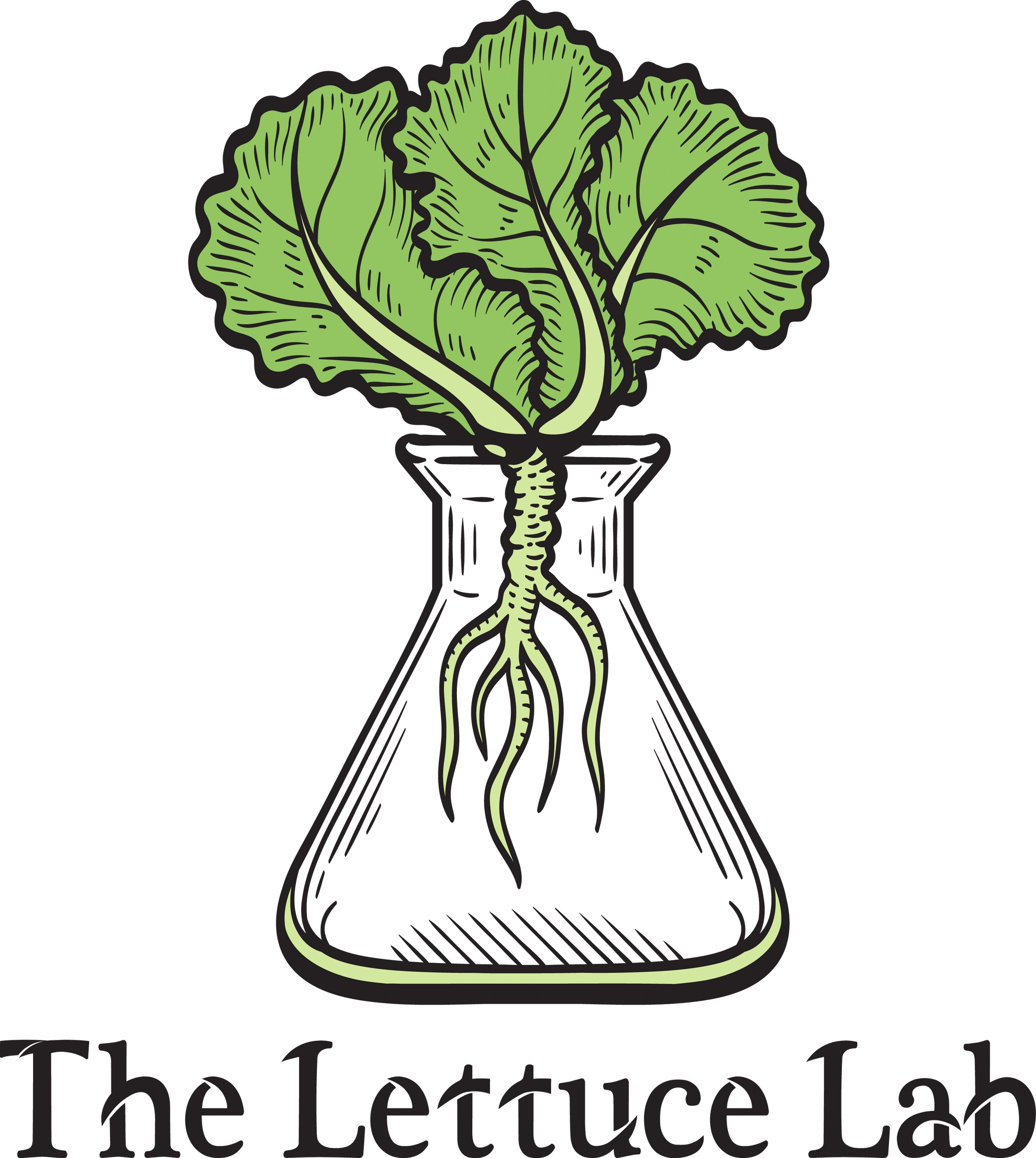 A green lettuce with roots inside a lab flask.