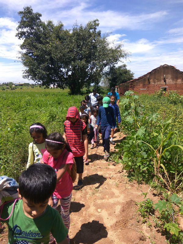 Organic farm experience at urban mowgli