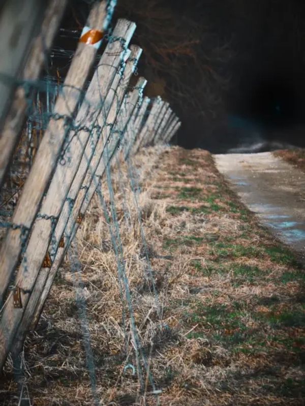 A fence that is leaning.