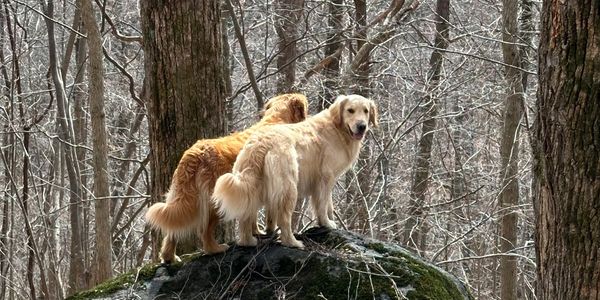 Ilsa and Heidi looking over the mountains