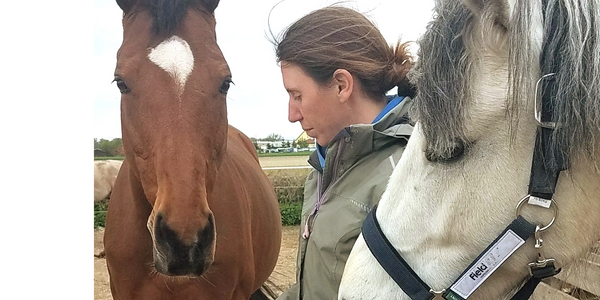 Verena Reiterin füttert weißes und braunes Pferd