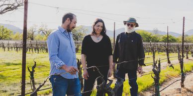 Starts in the vineyard