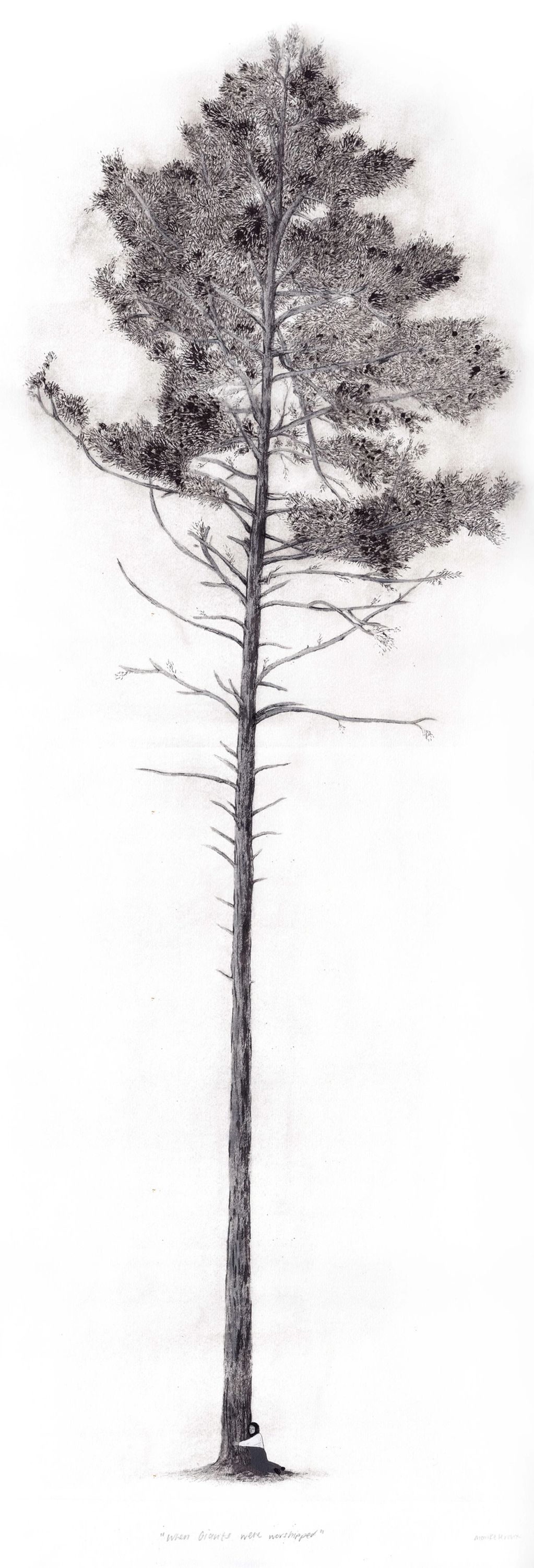 A person hugging a massive tree.