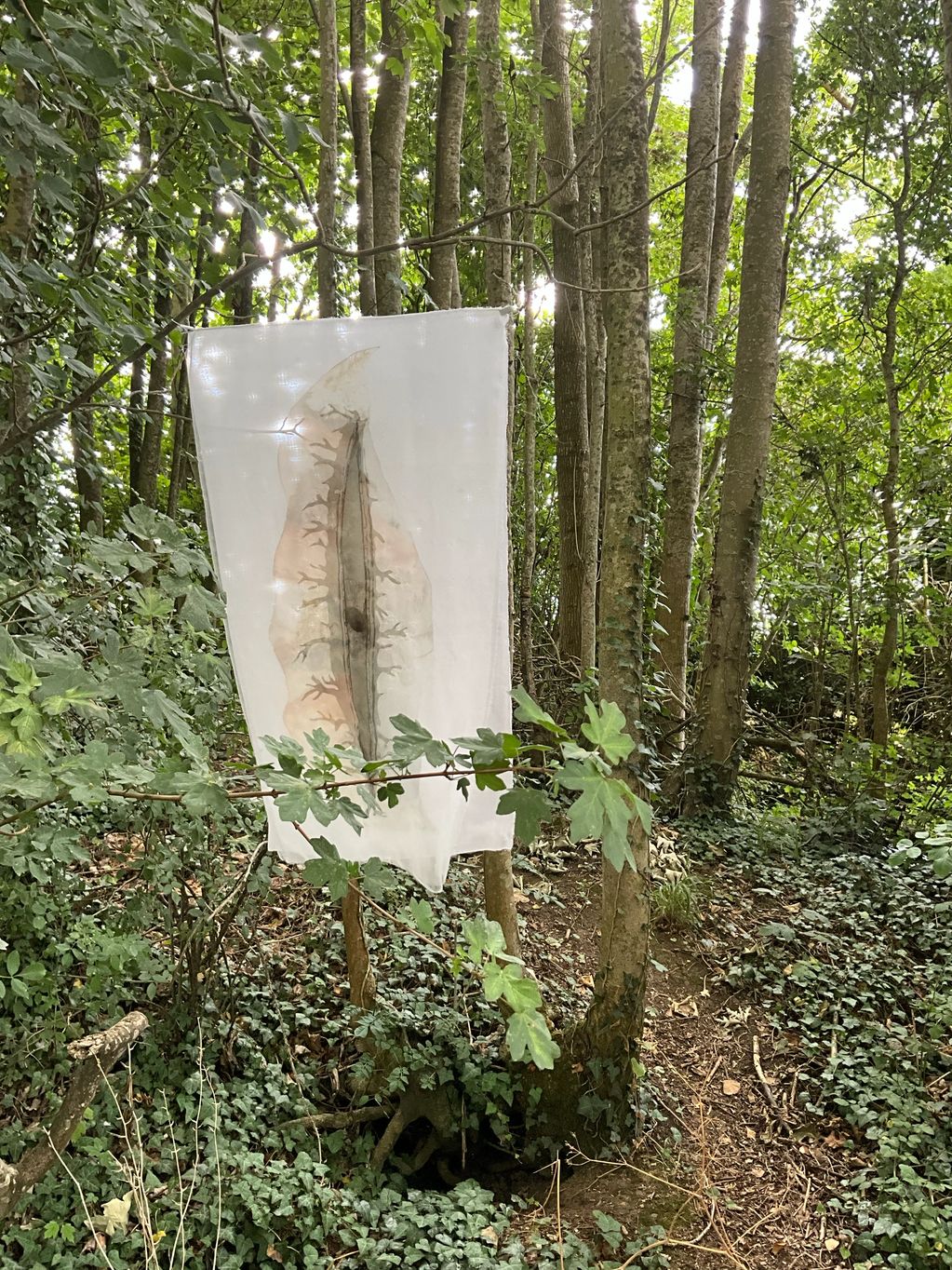 Fabric art hanging in a forest among trees.