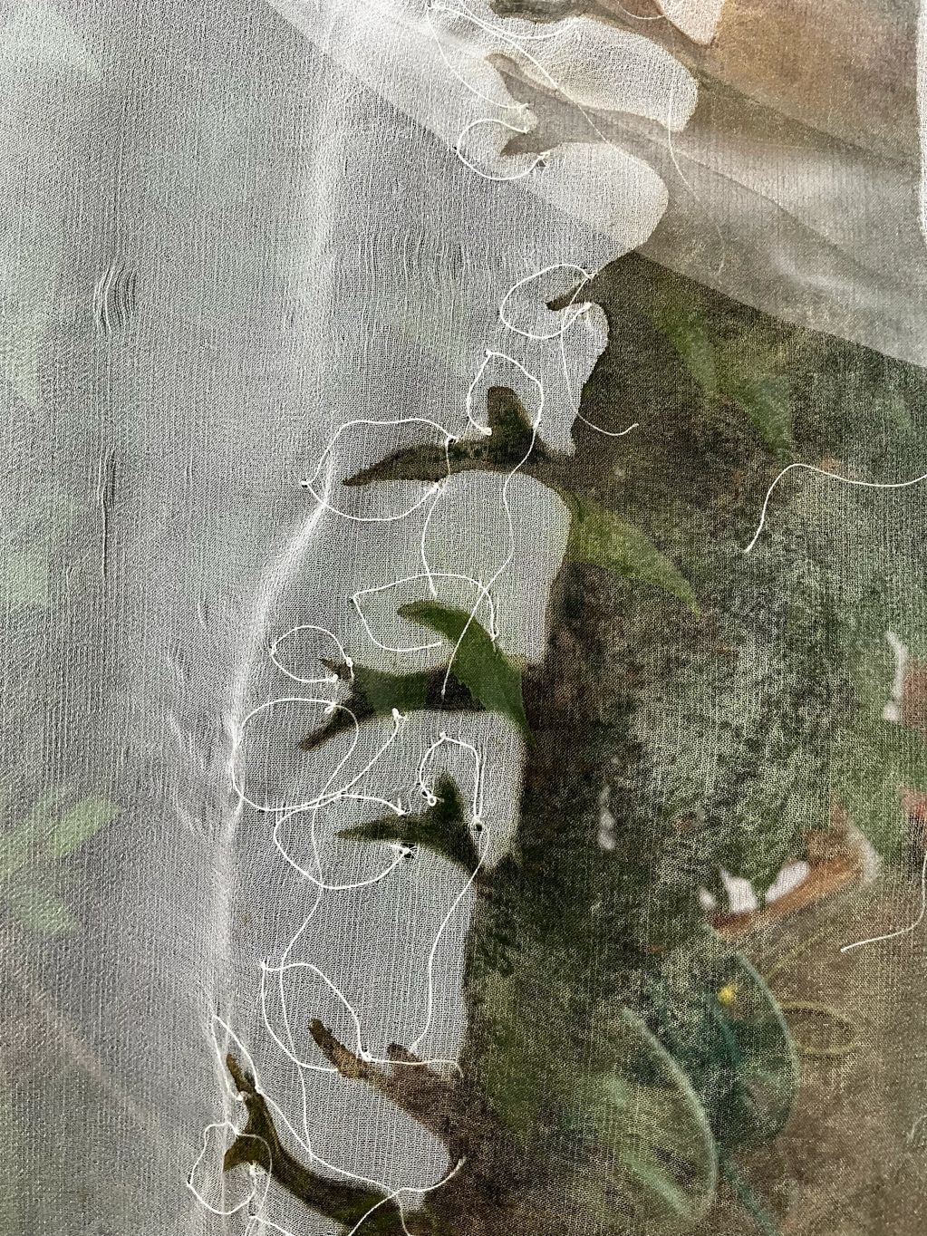 Green plants protected under a white net with tangled strings.