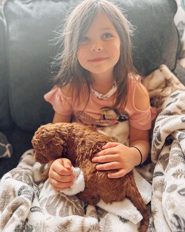 Child cuddling puppy